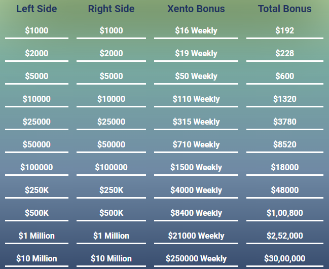 Xentocorp.com Review